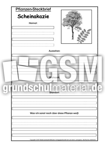 Pflanzensteckbrief-Scheinakazie-SW.pdf